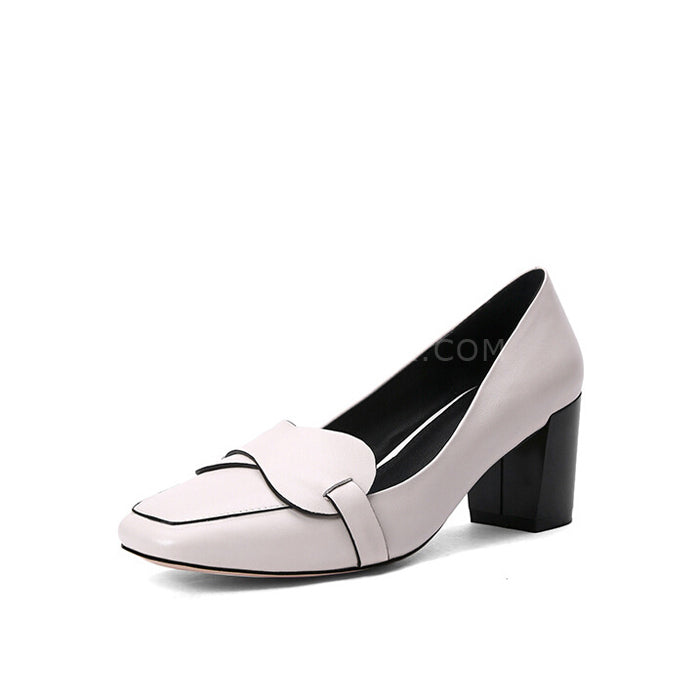 Pointed Block Heels Shoes