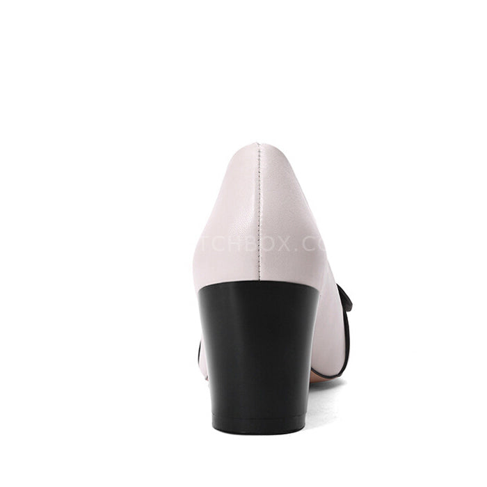 Pointed Block Heels Shoes